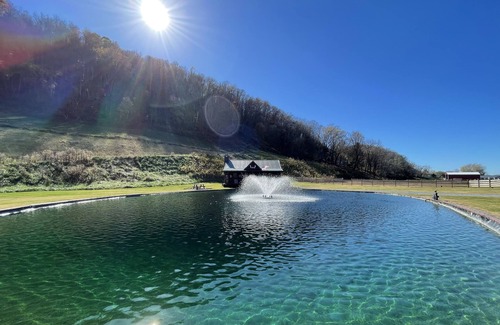 Elizabethton Cabin | Fantastic "Black Bear Cabin" In Lynn Valley