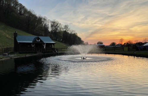 Elizabethton Cabin | Fantastic "Black Bear Cabin" In Lynn Valley