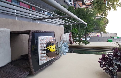 Doctores Apartment | Fantastic smart site 5 min from main sites in CDMX