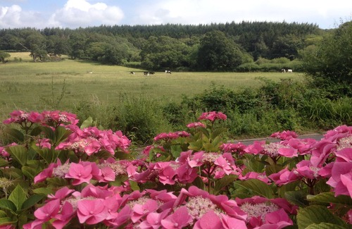 Wareham House | Fantastic views from this rural country house close to the sea at Lulworth Cove