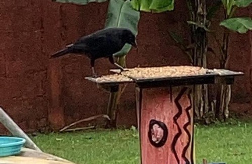 Boicucanga Beach Other | Farah Camping Smartcamp hospedagem econômica