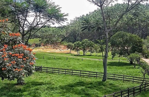 Sao Jose dos Campos Other | FARM BOOTS CAT
