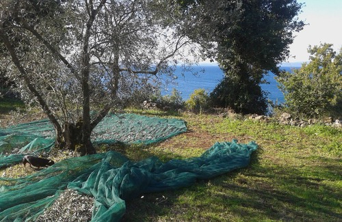 Bolsena House | FARM SANT'ANTONIO/CHARMING VILLA WITH PRIVATE BEACH
