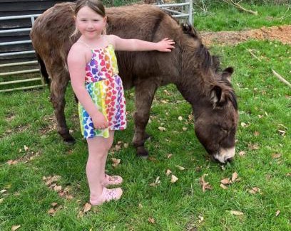 Hertford Other | Farm stay belltent activities