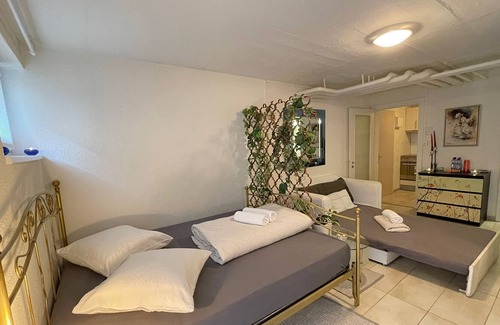 Basel City Centre Apartment | Fast Wifi 3 min to Rhein Comfy Bed