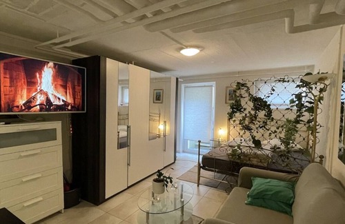 Basel City Centre Apartment | Fast Wifi 3 min to Rhein Comfy Bed