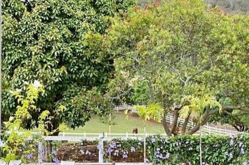 Carmo Ski Chalet | Fazenda da Palha