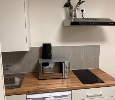 Schonenwerd Apartment | Feldeck