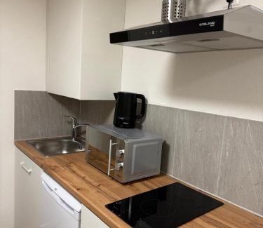 Schonenwerd Apartment | Feldeck