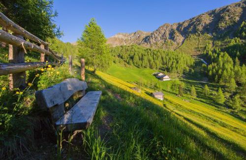 Valle di Casies Apartment | Feldererhof Apt Hochstein