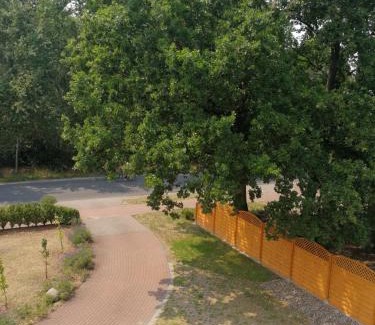 Region Hannover District Hotel | Felixanum Hotel & Galerie