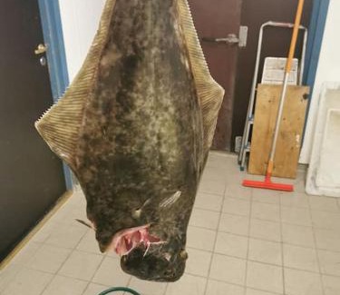 Straumsjoen House | Feriebolig på bygda