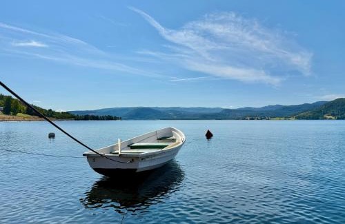Nissedal House | Feriehus ved Nisser med egen strand, brygge, peis og robåt til fri bruk