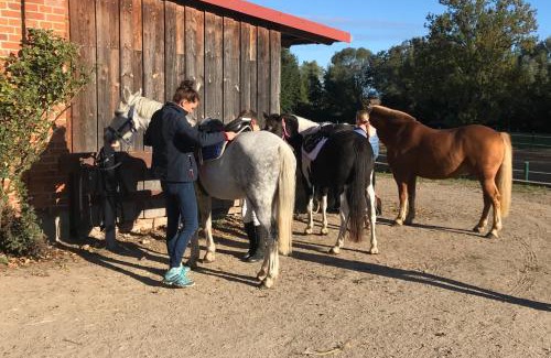 Gramkow Apartment | Ferienanlage Gutshaus Gramkow