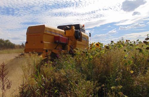 Gappenach Apartment | Ferienbauernhof Neumühle