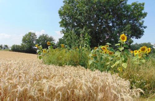 Gappenach Apartment | Ferienbauernhof Neumühle