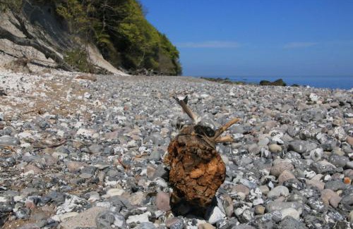 Nardevitz Apartment | Feriendomizil Achtern Öwer