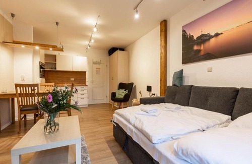 Dranske Apartment | Feriendorf Rugana - Komfortplus 1-Raum Appartement mit Terrasse A41