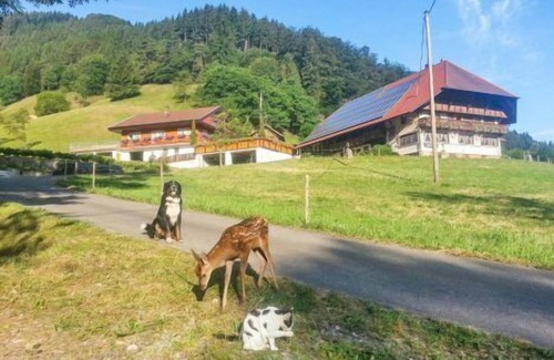 Wolfach Apartment | Ferienhäusle, 60qm, 1 Schlafzimmer, max. 5 Personen