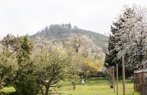 Blankenburg House | Ferienhaus "Am Staufenberg"