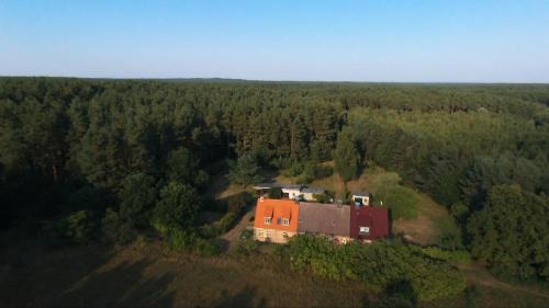 Muritz Apartment | Ferienhaus Amalienhof