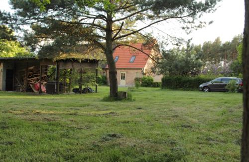 Muritz Apartment | Ferienhaus Amalienhof