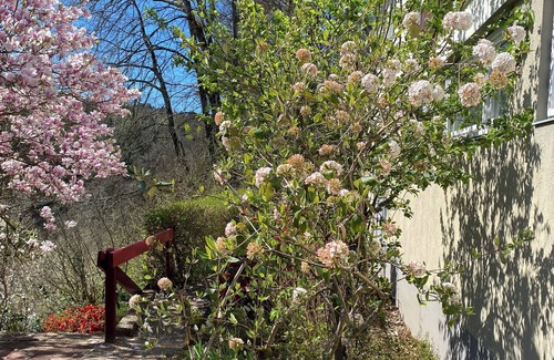 Rodalben House | Ferienhaus Emma Rodalben