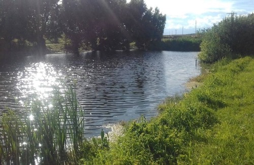 Schonwalde House | Ferienhaus für 4 Gäste mit 50m² in Schönwalde