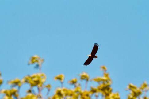 Grambzow House | Ferienhaus-Grambzow