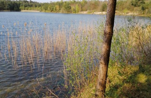 Haren House | Ferienhaus "Kiek mol in" am Golfpark Gut Dühneburg