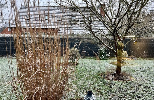 Weener House | Ferienhaus Kleine Auszeit, 25510