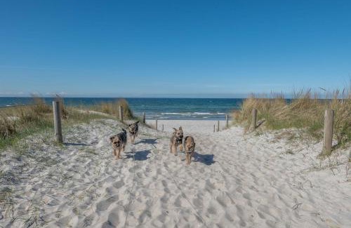 Pruchten House | Ferienhaus Ostsee