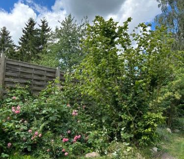 Muhl Rosin House | Ferienhaus Typ - Finnhütte