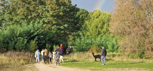 Canow Resort | Ferienpark-Canow