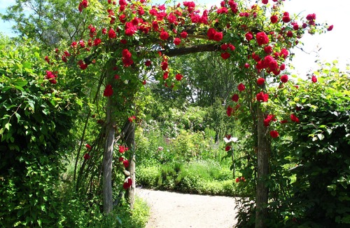 Buchberg Apartment | Ferienwohnung 5 - Gästehaus am Wangeliner Garten