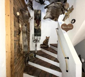 Muhr Apartment | Ferienwohnung Aigner