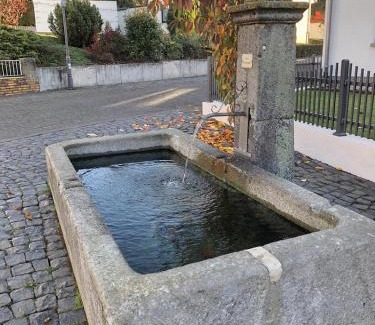 Hundsangen Apartment | Ferienwohnung am Dorfbrunnen