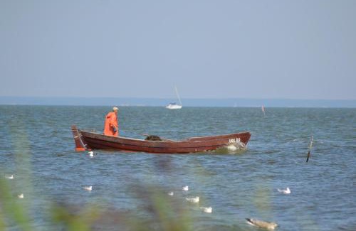 Grambin Apartment | Ferienwohnung am Haff