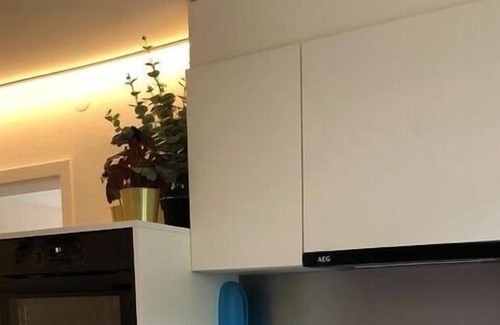 Rapperswil-Jona Apartment | Ferienwohnung/app. für 4 Gäste mit 60m² in Rapperswil