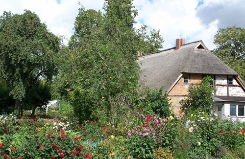 Velgast Apartment | Ferienwohnung/app. für 2 Gäste mit 40m² in Starkow