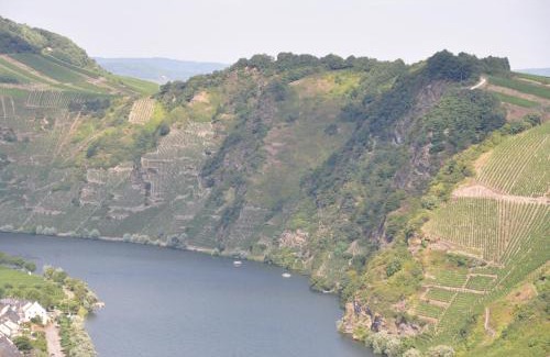 Niederemmel Apartment | Ferienwohnung Arens