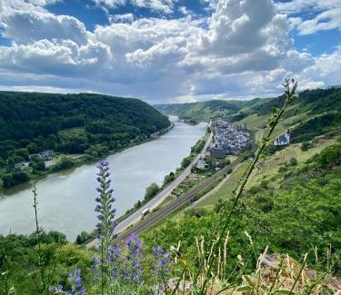 Dieblich Apartment | Ferienwohnung auf der Moselhöhe - Nähe Koblenz und Cochem