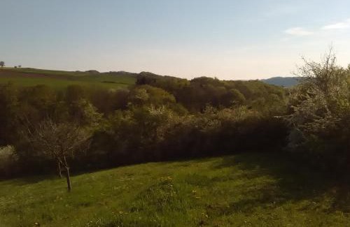 Olk Apartment | Ferienwohnung Barzen