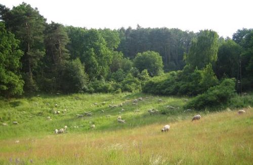 Garzau-Garzin House | Ferienwohnung Bergschäferei