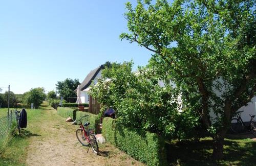 Vitte Apartment | Ferienwohnung Hiddensee in Vitte