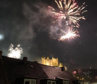 Mainz-Bingen Apartment | Ferienwohnung in Binger Stadtmitte mit Balkon