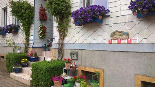 Spesenroth Apartment | Ferienwohnung in Spesenroth mit gemeinschaftlichem Pool, Garten und Terrasse