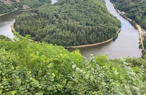 Mettlach Apartment | Ferienwohnung Katrin