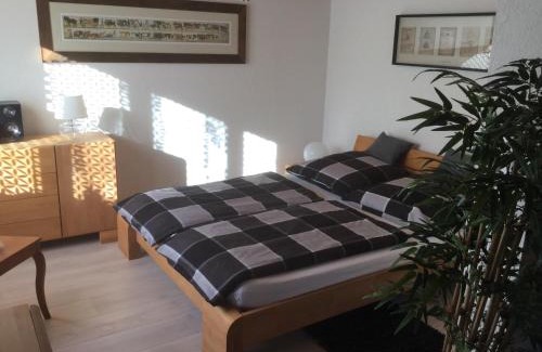 Frutigen Apartment | Ferienwohnung Milchgaessli