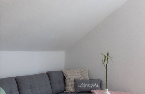 Ulmen Apartment | Ferienwohnung Nickelswiese N°2 Ruhige Lage, Sehr Geräumig. Haustierfreundlich!